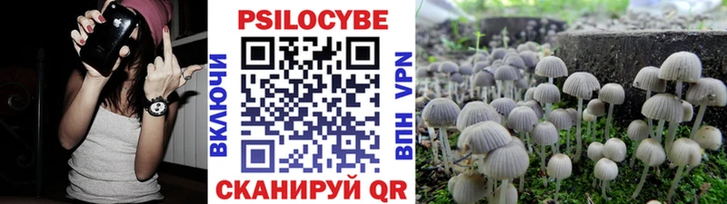 Галлюциногенные грибы GOLDEN TEACHER  купить   Уфа 